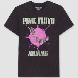 Men's Pink Floyd Short Sleeve Graphic T-Shirt - Gray, Small